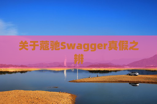 关于蔻驰Swagger真假之辨 关于蔻驰Swagger真假之辨